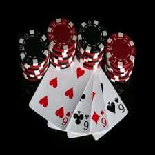 855bet sport Live Casino – Dealer chuyên nghiệp phát sóng trực tiếp